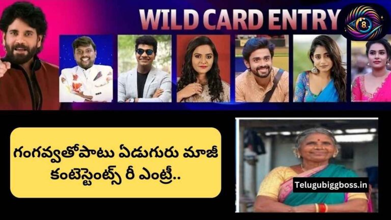 Bigg Boss Telugu 8: New Wild Card Entries