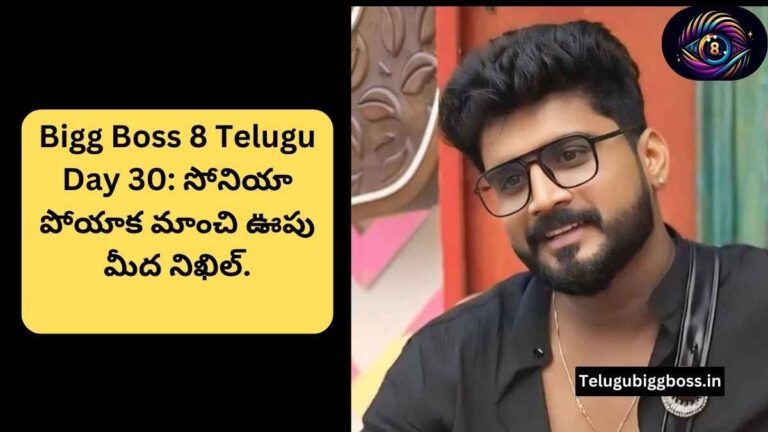 Bigg Boss 8 Telugu Day 30: సోనియా పోయాక మాంచి ఊపు మీద నిఖిల్.