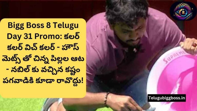 Bigg Boss 8 Telugu Day 31 Promo: కలర్ కలర్ విచ్ కలర్ – చిన్న పిల్లల ఆట.